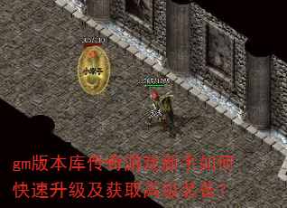 gm�汾�⴫����Ϸ������ο�����������ȡ�߼�װ����
