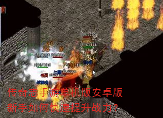 ����־���ε����氲׿��������ο�������ս����