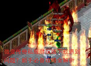 ΢�䴫��˽������������������⣿���ֱر�����ȫ����