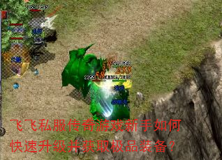 飞飞私服传奇游戏新手如何快速升级并获取极品装备? 飞飞私服传奇游戏新手如何快速升级并获取极品装备?
