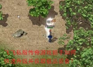 飞飞私服传奇游戏新手如何快速升级并获取极品装备? 飞飞私服传奇游戏新手如何快速升级并获取极品装备?