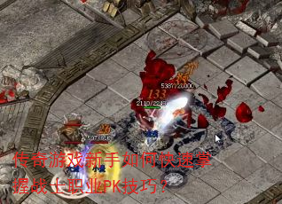 ������Ϸ������ο�������սʿְҵPK���ɣ�