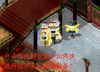 �¿�������Ϸ������ο�����������ȡϡ��װ����