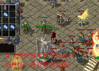 �¿�������Ϸ������ο�����������ȡϡ��װ����