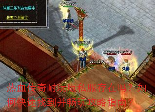 ��Ѫ���������˽����������ο����ҵ������湥��ָ�ϣ�