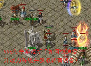 996������Ϸ������ο�������ս���ȼ�����ȡϡ��װ����