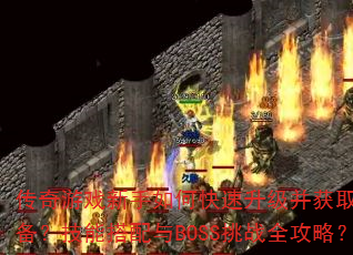 ������Ϸ������ο�����������ȡ����װ�������ܴ�����BOSS��սȫ���ԣ�