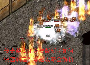 ������ϷSF��Ѱ�������ο���������봹���ȫ����