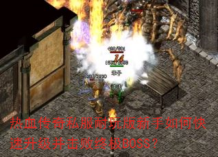 热血传奇私服耐玩版新手如何快速升级并击败终极BOSS? 热血传奇私服耐玩版新手如何快速升级并击败终极BOSS?