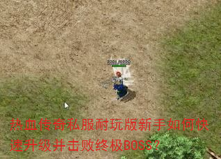 热血传奇私服耐玩版新手如何快速升级并击败终极BOSS? 热血传奇私服耐玩版新手如何快速升级并击败终极BOSS?