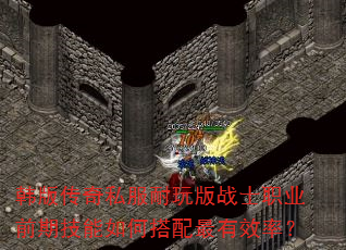 韩版传奇私服耐玩版战士职业前期技能如何搭配最有效率? 韩版传奇私服耐玩版战士职业前期技能如何搭配最有效率?