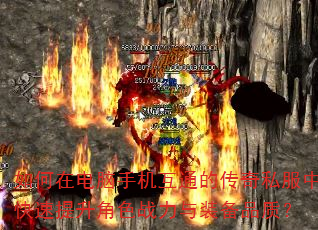 ����ڵ����ֻ���ͨ�Ĵ���˽���п���������ɫս����װ��Ʒ�ʣ�