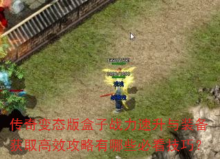 �����̬�����ս��������װ����ȡ��Ч��������Щ�ؿ����ɣ�