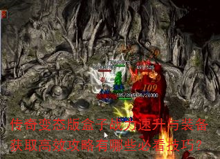 �����̬�����ս��������װ����ȡ��Ч��������Щ�ؿ����ɣ�