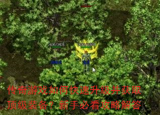 ������Ϸ��ο�����������ȡ����װ�������ֱؿ����Խ��