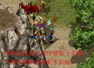 传奇私服盒子排行榜前十名哪个服务器最适合新手玩家? 传奇私服盒子排行榜前十名哪个服务器最适合新手玩家?