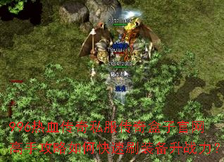 996��Ѫ����˽��������ӹ������ֹ�����ο���ˢװ����ս����