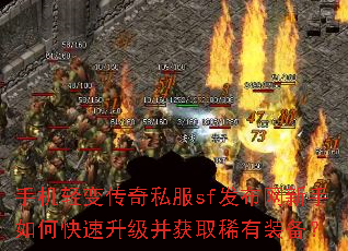 �ֻ���䴫��˽��sf������������ο�����������ȡϡ��װ����