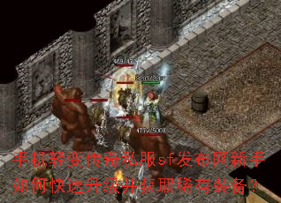 �ֻ���䴫��˽��sf������������ο�����������ȡϡ��װ����