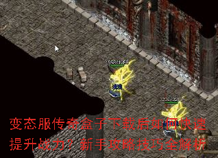 ��̬������������غ���ο�������ս�������ֹ��Լ���ȫ����