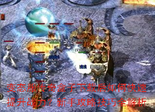 ��̬������������غ���ο�������ս�������ֹ��Լ���ȫ����