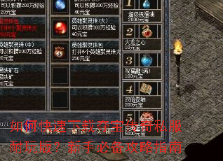 如何快速下载夺宝传奇私服耐玩版?新手必备攻略指南 如何快速下载夺宝传奇私服耐玩版?新手必备攻略指南