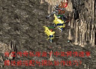 合击传奇私服盒子中如何快速掌握技能搭配与团队协作技巧? 合击传奇私服盒子中如何快速掌握技能搭配与团队协作技巧?