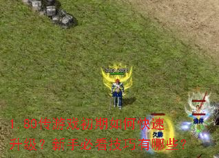 1.80传游戏初期如何快速升级?新手必看技巧有哪些? 1.80传游戏初期如何快速升级?新手必看技巧有哪些?