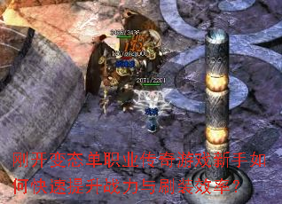 �տ���̬��ְҵ������Ϸ������ο�������ս����ˢװЧ�ʣ�