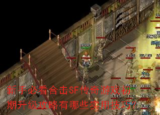 ���ֱؿ��ϻ�SF������Ϸ����������������Щʵ�ü��ɣ�