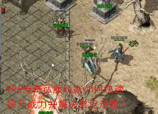 996����˽�������ο�������ս��������������⣿