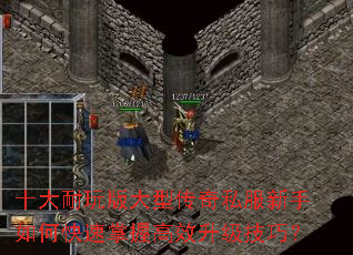 十大耐玩版大型传奇私服新手如何快速掌握高效升级技巧? 十大耐玩版大型传奇私服新手如何快速掌握高效升级技巧?