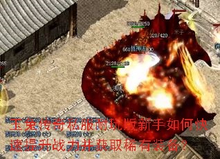 ���ô���˽�������������ο�������ս������ȡϡ��װ����