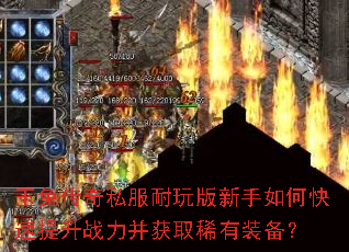 ���ô���˽�������������ο�������ս������ȡϡ��װ����