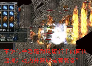 ���ô���˽�������������ο�������ս������ȡϡ��װ����