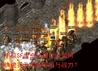 �ֻ�SF����˽�������ο�������װ���ȼ���ս����