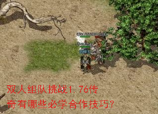 双人组队挑战1.76传奇有哪些必学合作技巧? 双人组队挑战1.76传奇有哪些必学合作技巧?