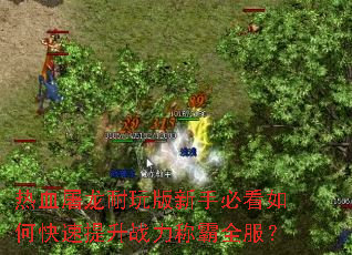 ��Ѫ������������ֱؿ���ο�������ս���ư�ȫ����