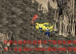 ����˽�������������غ���ο�������ս����װ��ǿ����BOSS��ս��������Щ��