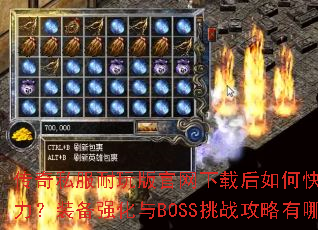 ����˽�������������غ���ο�������ս����װ��ǿ����BOSS��ս��������Щ��