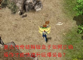 ���Ŵ����ƽ����������ȷ�������ܿ���������װ����