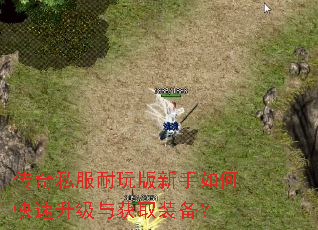 传奇私服耐玩版新手如何快速升级与获取装备? 传奇私服耐玩版新手如何快速升级与获取装备?