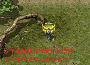 ��׿������Ѫ������ο���������ɫս����װ��Ʒ�ʣ�