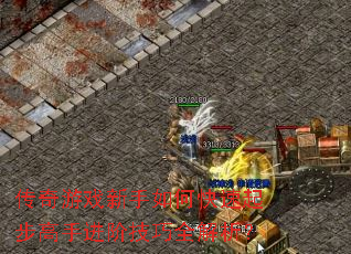 ������Ϸ������ο����𲽸��ֽ��׼���ȫ������