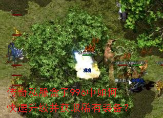 ����˽������996����ο�����������ȡϡ��װ����