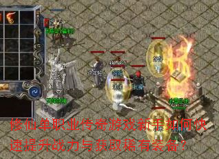 修仙单职业传奇游戏新手如何快速提升战力与获取稀有装备? 修仙单职业传奇游戏新手如何快速提升战力与获取稀有装备?