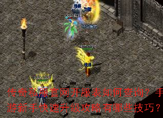 传奇私服官网开服表如何查询?手游新手快速升级攻略有哪些技巧? 传奇私服官网开服表如何查询?手游新手快速升级攻略有哪些技巧?