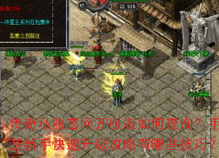 传奇私服官网开服表如何查询?手游新手快速升级攻略有哪些技巧? 传奇私服官网开服表如何查询?手游新手快速升级攻略有哪些技巧?