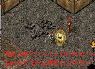 传奇私服官网开服表如何查询?手游新手快速升级攻略有哪些技巧? 传奇私服官网开服表如何查询?手游新手快速升级攻略有哪些技巧?