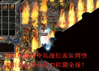 �ֻ���Ѫ����˽�������ο���ˢװ������ս���ư�ȫ����